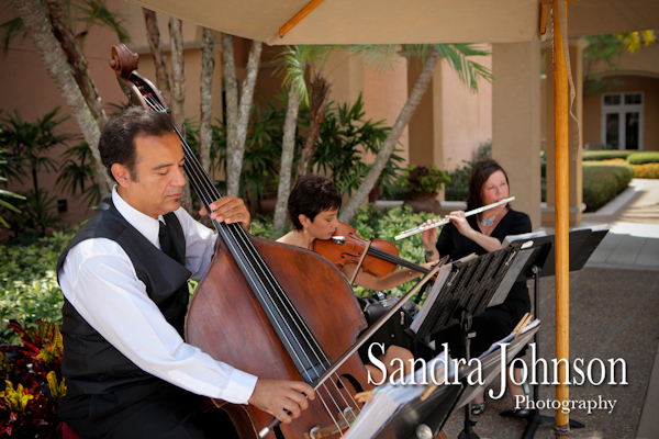 Best Ritz Carlton Wedding photographer - Sandra Johnson (SJFoto.com)